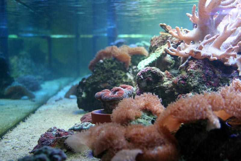 Killikus&reg; Fotographie